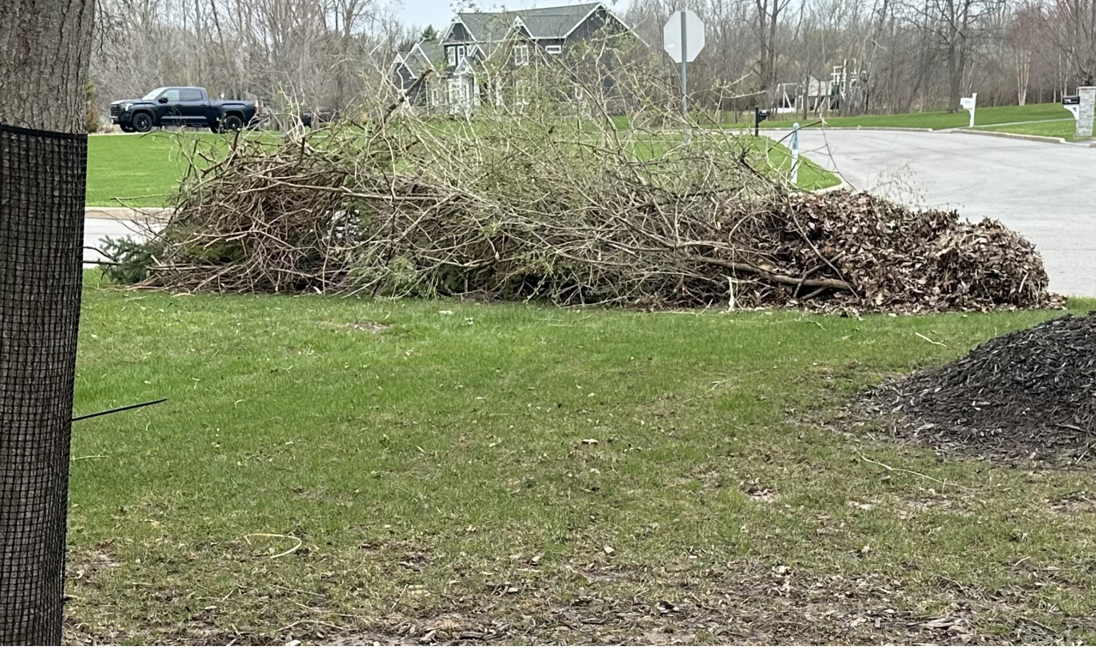 spring cleanup Brush pile week one